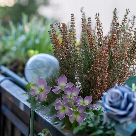 La Casa De Papel Daire *