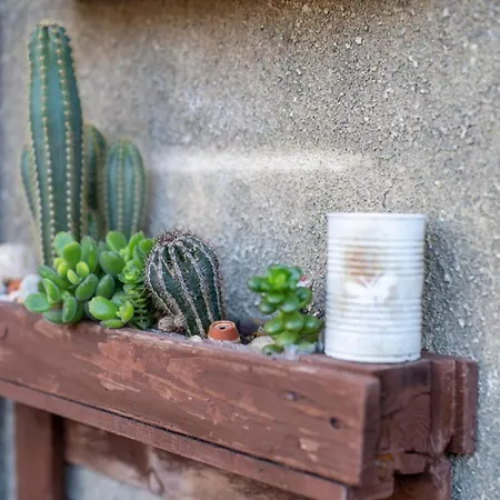 La Casa De Papel Apartamento *